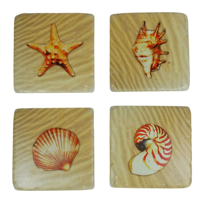 Seashells Coasters Set of 4